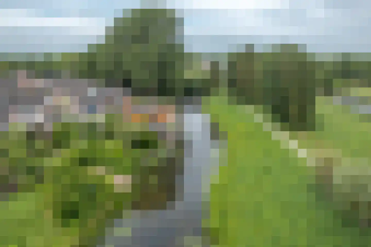Hanebalken 177 Drachten thumbnail 23