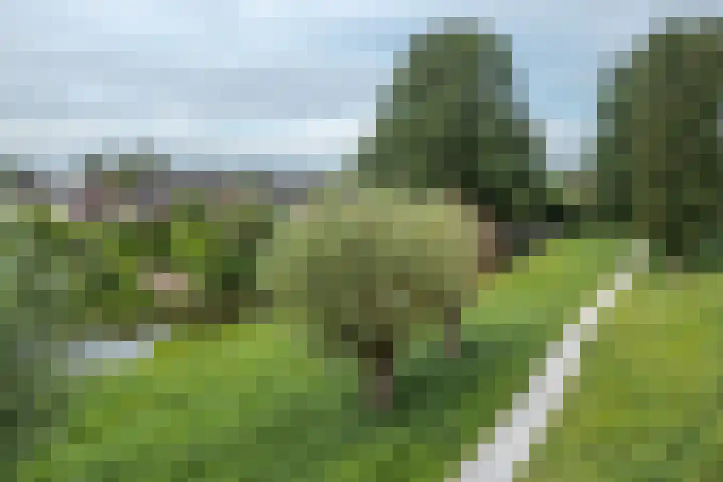 Hanebalken 177 Drachten thumbnail 49