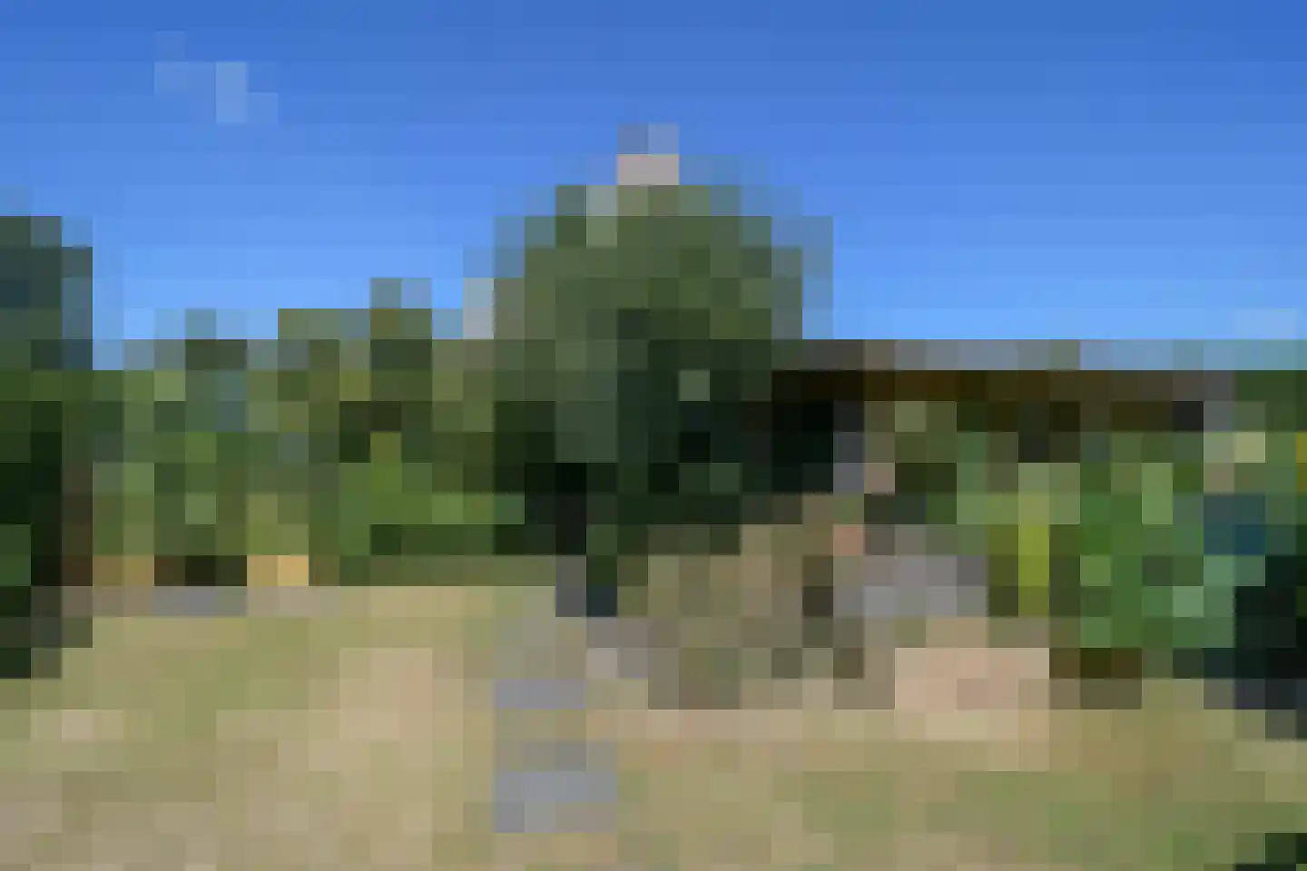 Hanebalken 197 Drachten thumbnail 52