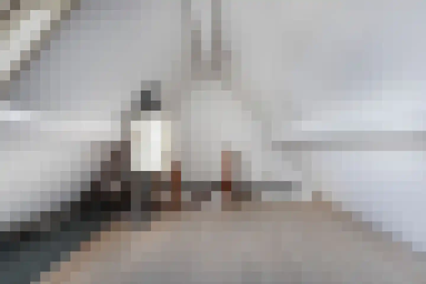 Hanebalken 207 Drachten thumbnail 33