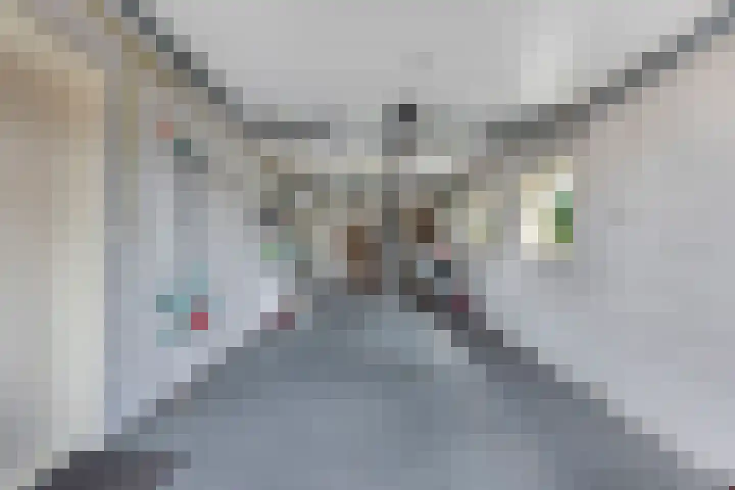Hanebalken 207 Drachten thumbnail 35
