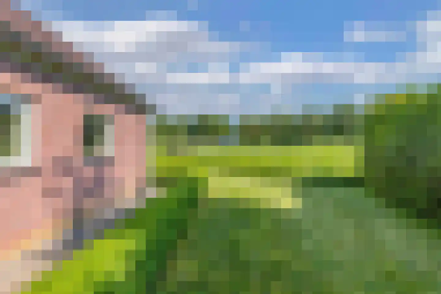 Hanebalken 207 Drachten thumbnail 36
