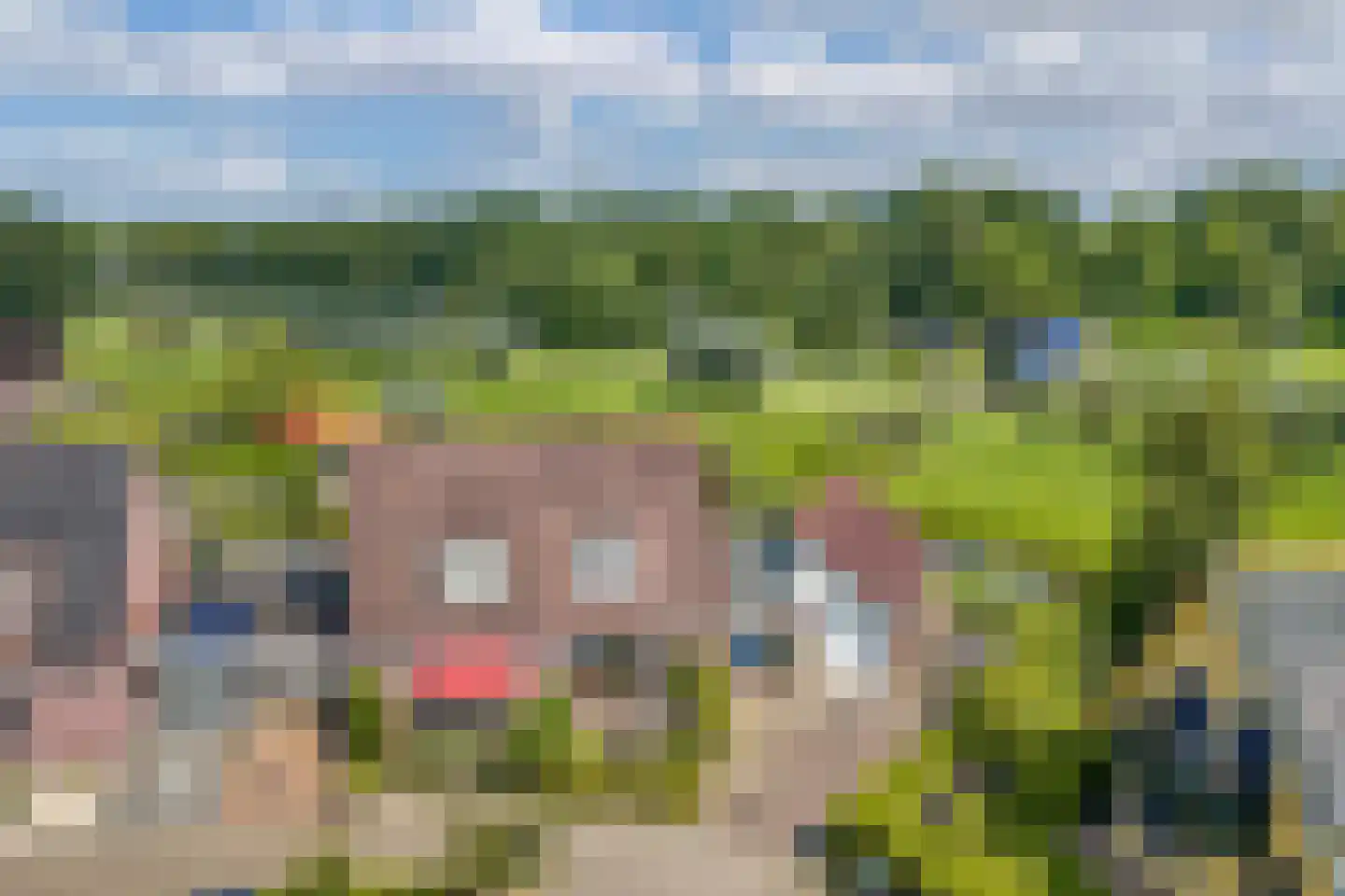 Hanebalken 207 Drachten thumbnail 4