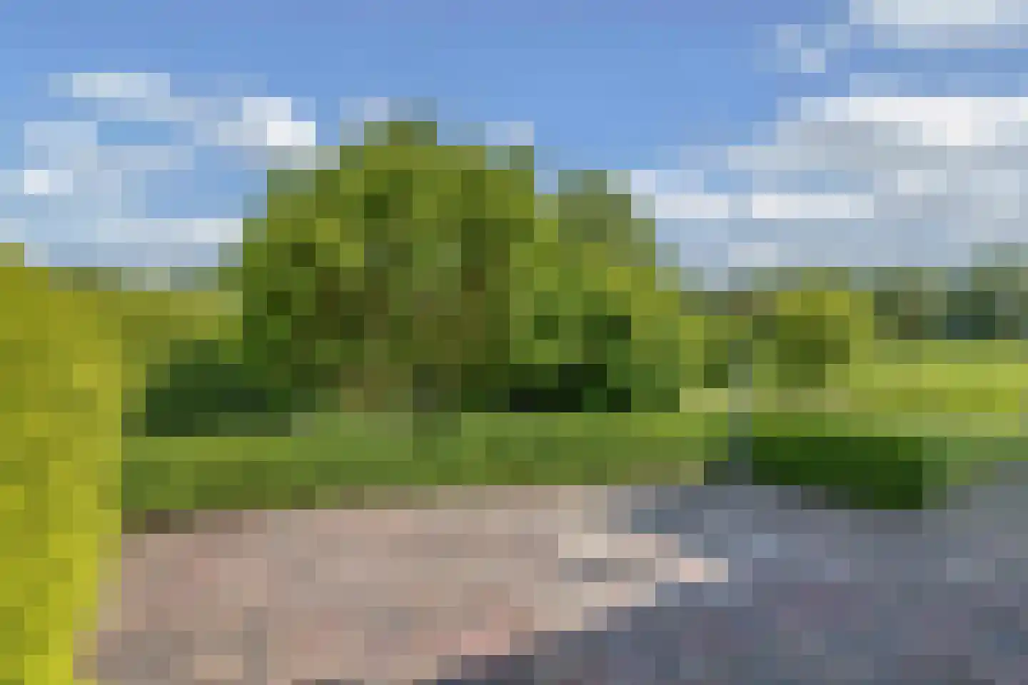 Hanebalken 207 Drachten thumbnail 41