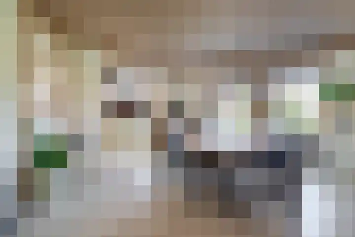 Hanebalken 209 Drachten thumbnail 12