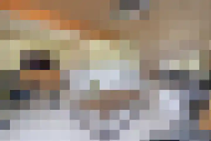 Hanebalken 209 Drachten thumbnail 17