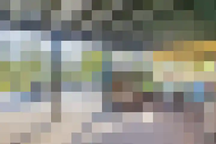 Hanebalken 209 Drachten thumbnail 20
