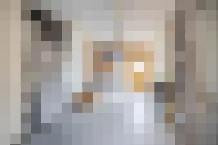 Hanebalken 209 Drachten thumbnail 25