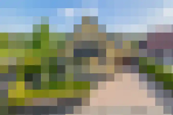 Hanebalken 209 Drachten thumbnail 42