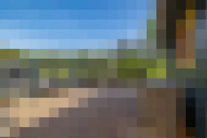 Hanebalken 209 Drachten thumbnail 44