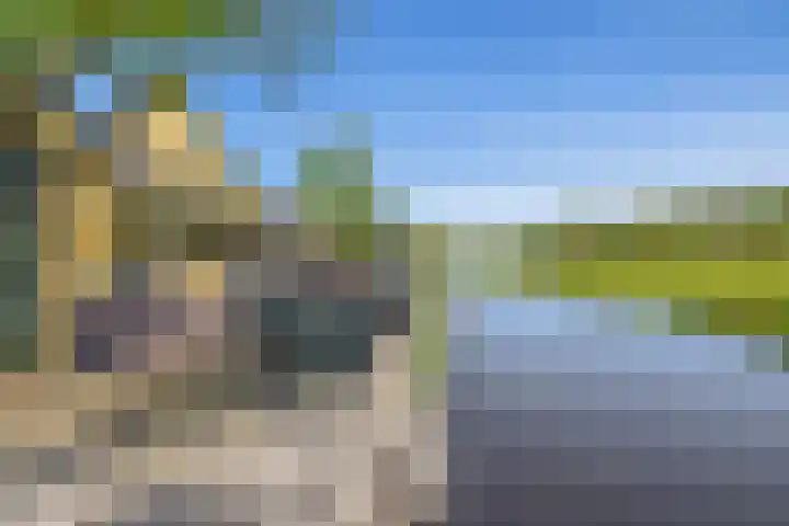 Hanebalken 209 Drachten thumbnail 45