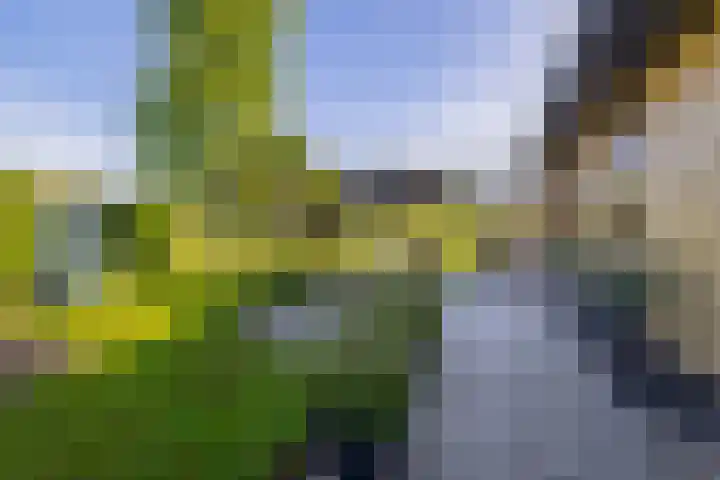Hanebalken 209 Drachten thumbnail 47
