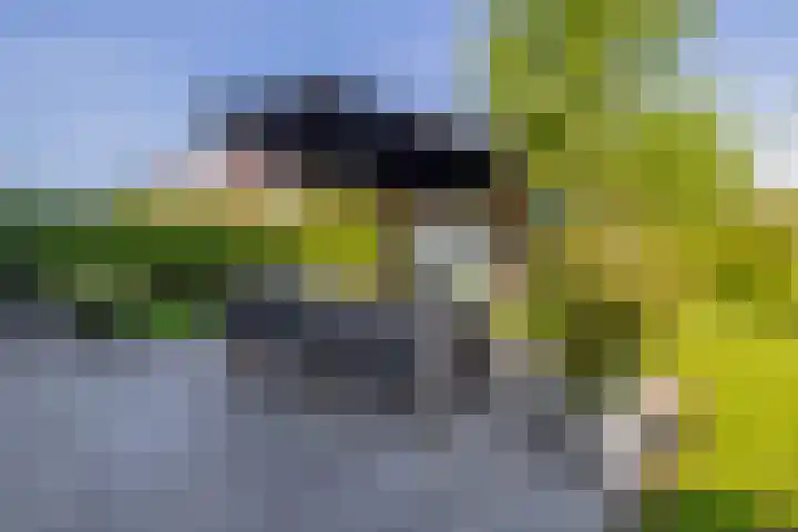 Hanebalken 209 Drachten thumbnail 48