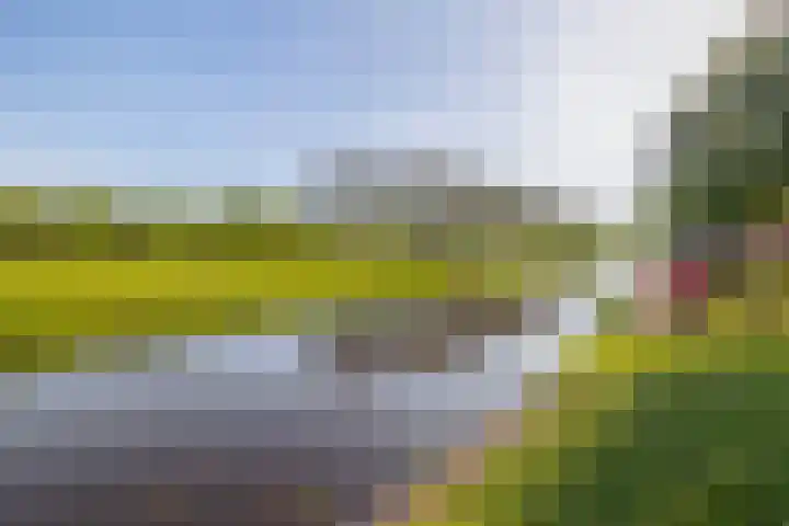 Hanebalken 209 Drachten thumbnail 49
