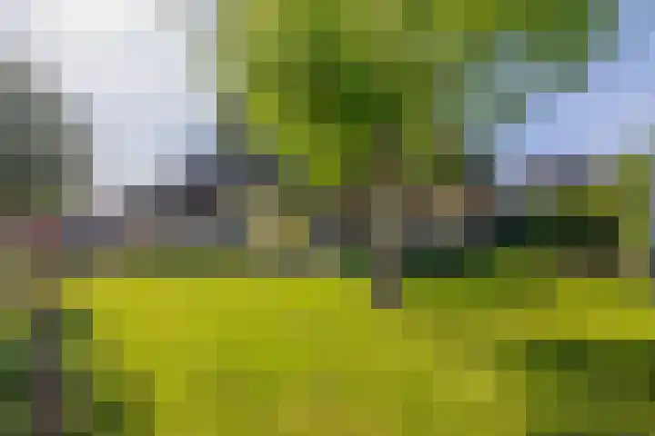 Hanebalken 209 Drachten thumbnail 50