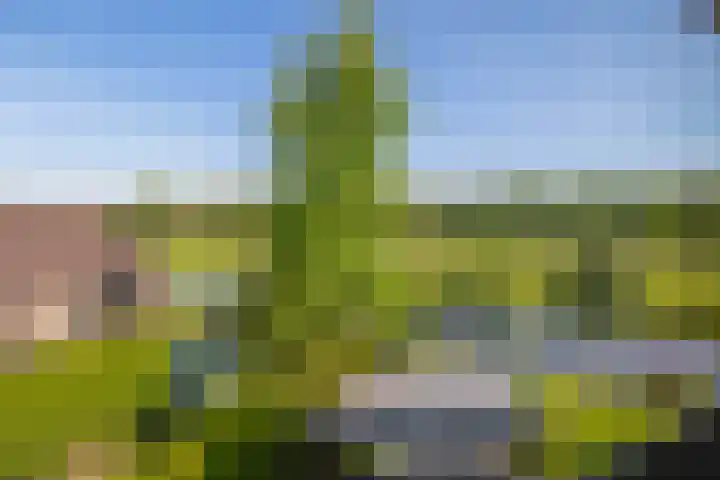 Hanebalken 209 Drachten thumbnail 51