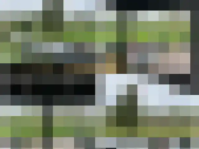 Hanebalken 209 Drachten thumbnail 52