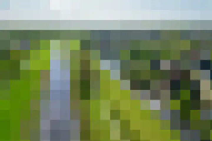 Hanebalken 209 Drachten thumbnail 54