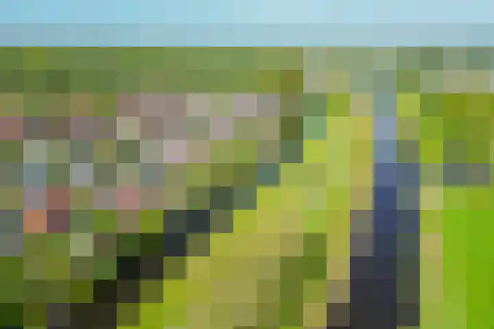 Hanebalken 209 Drachten thumbnail 56