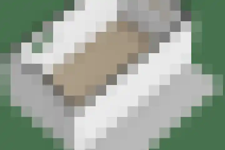 Hanebalken 209 Drachten thumbnail 65