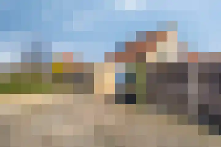 Hanebalken 250 Drachten thumbnail 11