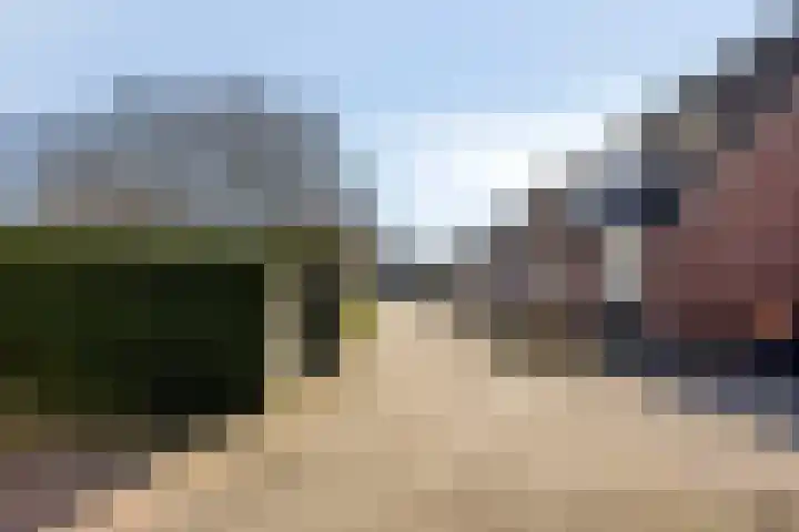 Hanebalken 250 Drachten thumbnail 12