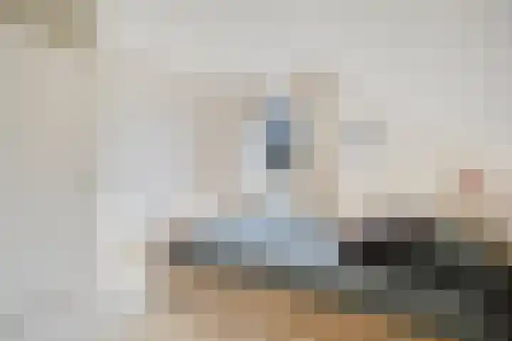 Hanebalken 250 Drachten thumbnail 33