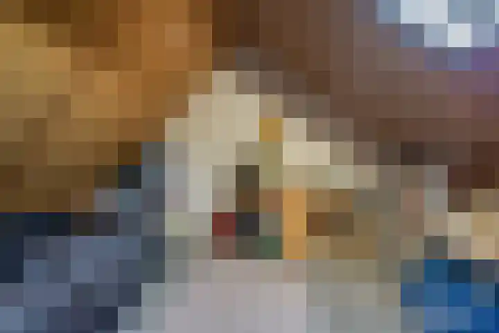 Hanebalken 250 Drachten thumbnail 41
