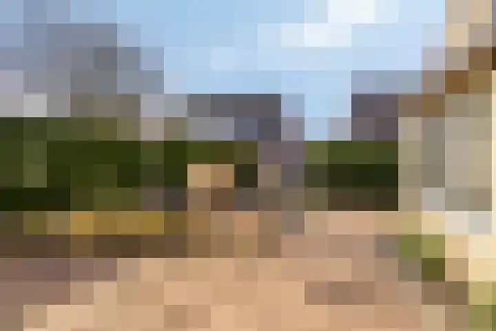 Hanebalken 250 Drachten thumbnail 45