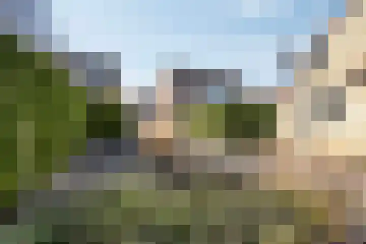 Hanebalken 250 Drachten thumbnail 47