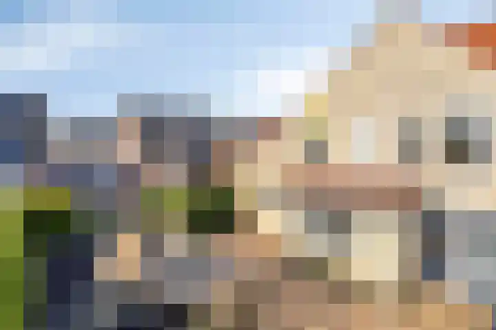 Hanebalken 250 Drachten thumbnail 48