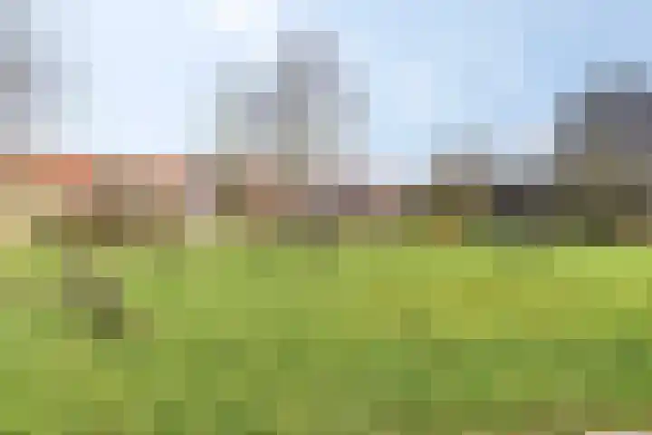 Hanebalken 250 Drachten thumbnail 49