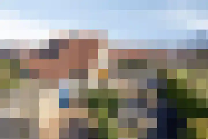 Hanebalken 250 Drachten thumbnail 5