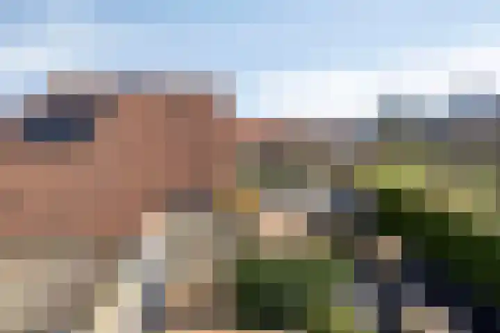 Hanebalken 250 Drachten thumbnail 6