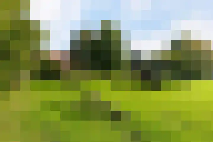 Hanebalken 250 Drachten thumbnail 8