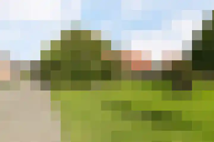 Hanebalken 250 Drachten thumbnail 9