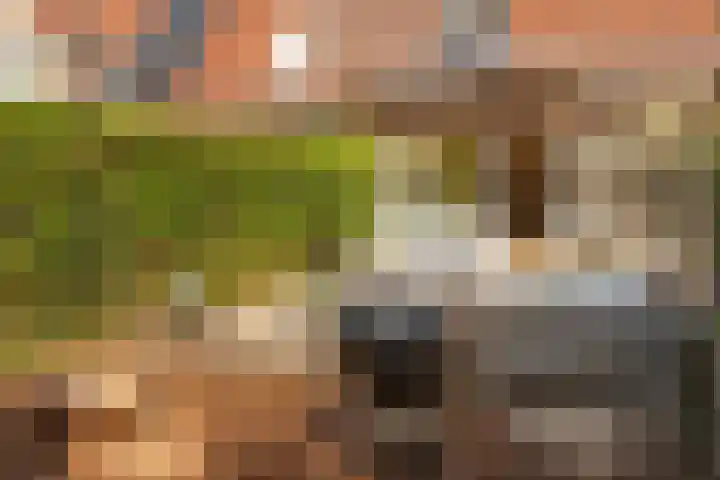 Hanebalken 258 Drachten thumbnail 12