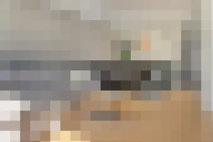Hanebalken 258 Drachten thumbnail 17