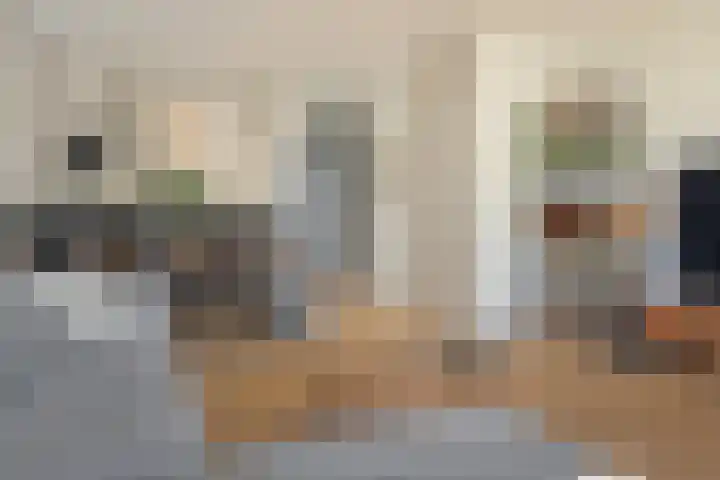 Hanebalken 258 Drachten thumbnail 18