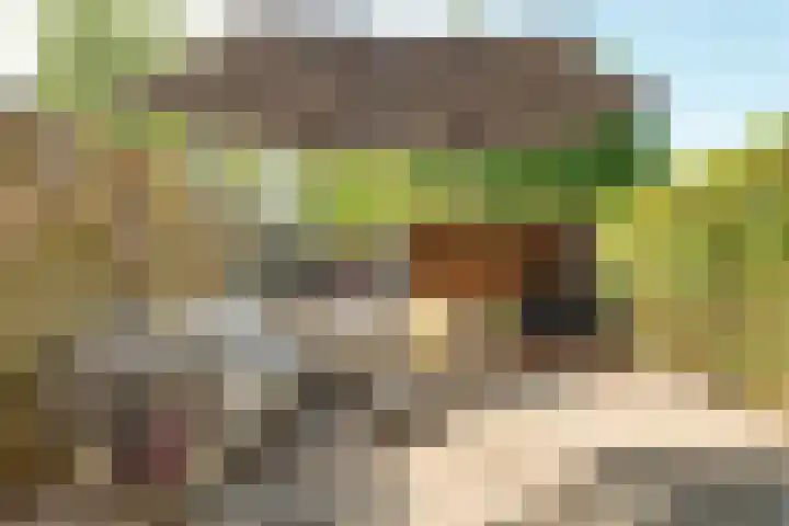 Hanebalken 258 Drachten thumbnail 5