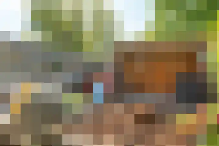 Hanebalken 258 Drachten thumbnail 8