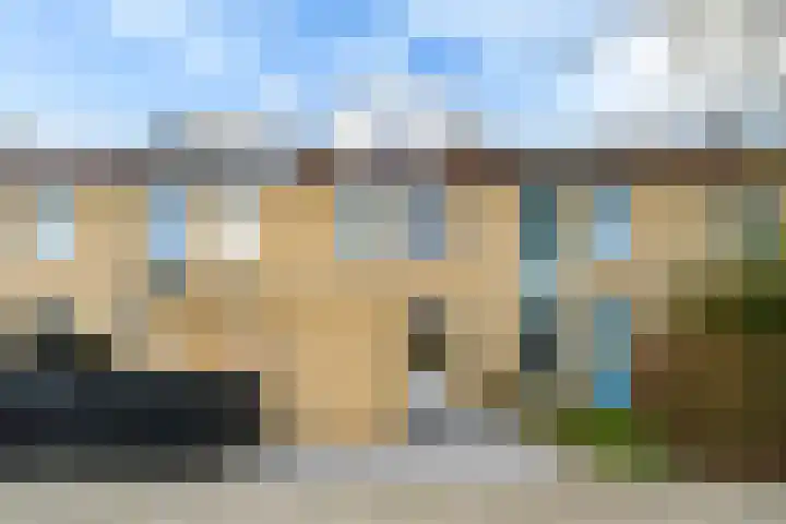 Hanebalken 290 Drachten