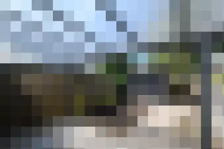 Hanebalken 294 Drachten thumbnail 31