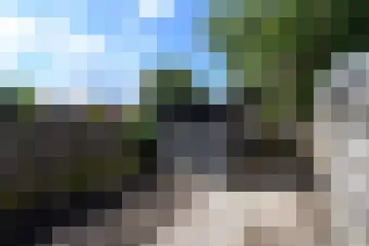 Hanebalken 294 Drachten thumbnail 34