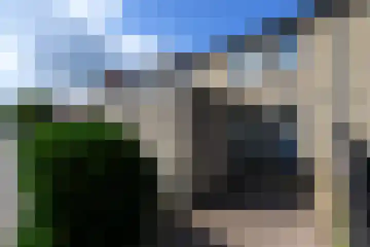 Hanebalken 294 Drachten thumbnail 35