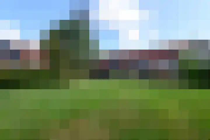 Hanebalken 294 Drachten thumbnail 36