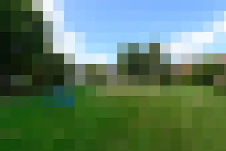 Hanebalken 294 Drachten thumbnail 37
