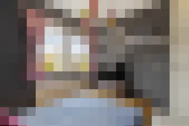 Hanebalken 45 Drachten thumbnail 31