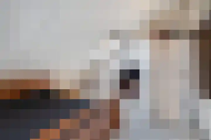 Hanebalken 45 Drachten thumbnail 37