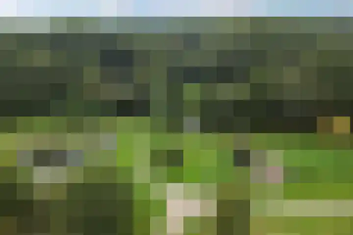 Hanebalken 45 Drachten thumbnail 4